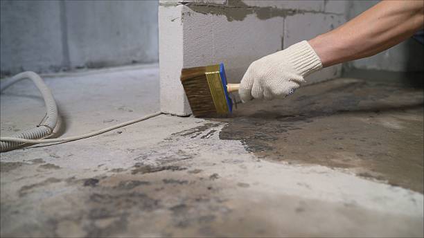 SJ Waterproofing Pros Sump Pump Installation coverage map for Ripon, WI and surrounding area